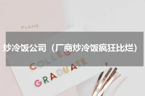 炒冷饭公司（厂商炒冷饭疯狂比烂）