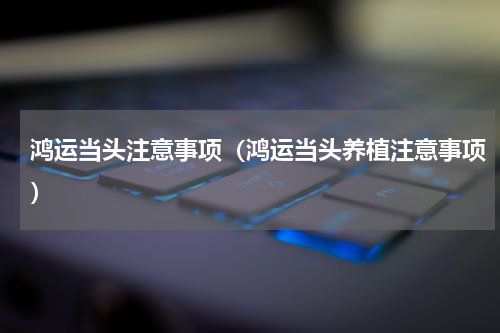 鸿运当头注意事项（鸿运当头养植注意事项）
