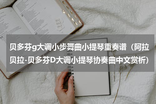 贝多芬g大调小步舞曲小提琴重奏谱（阿拉贝拉-贝多芬D大调小提琴协奏曲中文赏析）