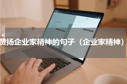 赞扬企业家精神的句子（企业家精神）