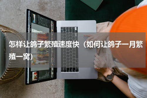 怎样让鸽子繁殖速度快（如何让鸽子一月繁殖一窝）
