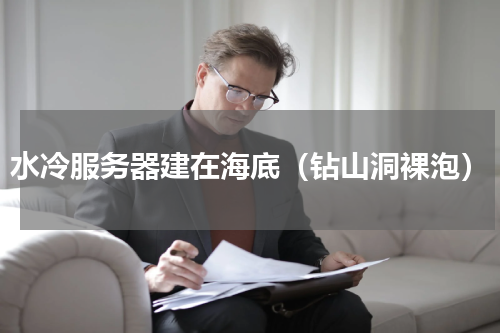 水冷服务器建在海底（钻山洞裸泡）