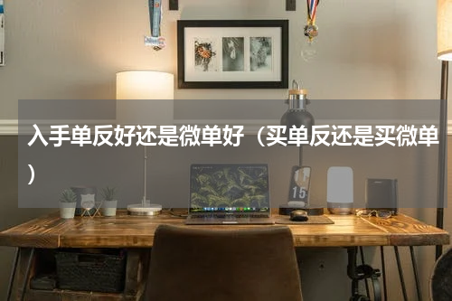 入手单反好还是微单好（买单反还是买微单）