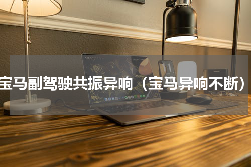 宝马副驾驶共振异响（宝马异响不断）