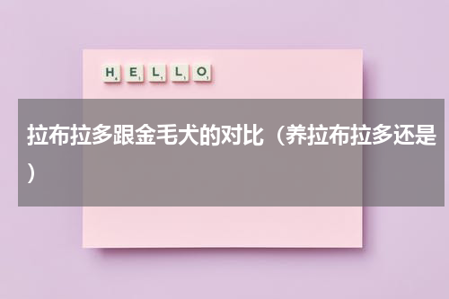 拉布拉多跟金毛犬的对比（养拉布拉多还是）