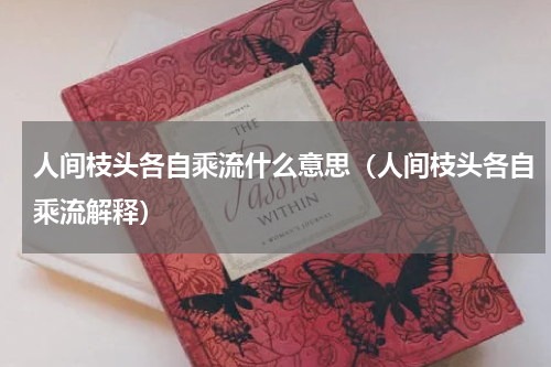人间枝头各自乘流什么意思（人间枝头各自乘流解释）