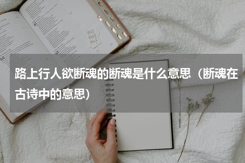 路上行人欲断魂的断魂是什么意思（断魂在古诗中的意思）