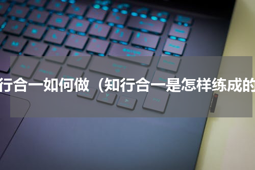 知行合一如何做（知行合一是怎样练成的）