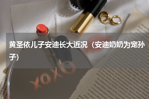 黄圣依儿子安迪长大近况（安迪奶奶为宠孙子）
