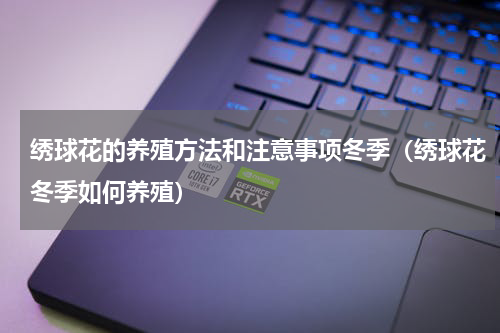 绣球花的养殖方法和注意事项冬季（绣球花冬季如何养殖）