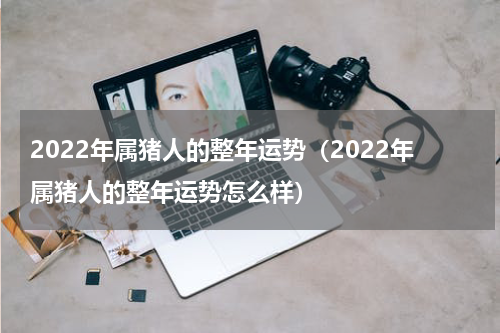 2022年属猪人的整年运势（2022年属猪人的整年运势怎么样）