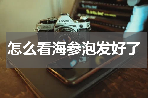 怎么看海参泡发好了