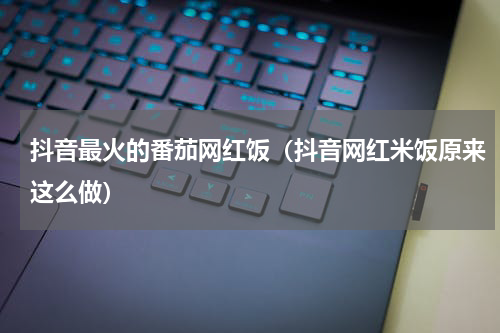 抖音最火的番茄网红饭（抖音网红米饭原来这么做）