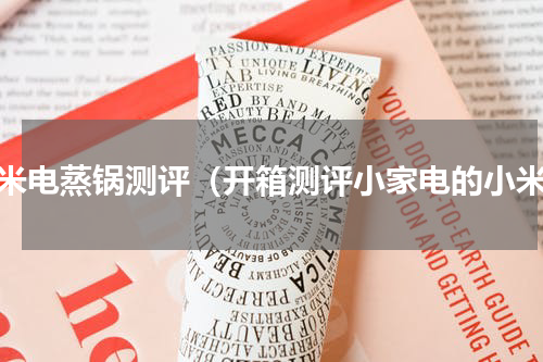小米电蒸锅测评（开箱测评小家电的小米）