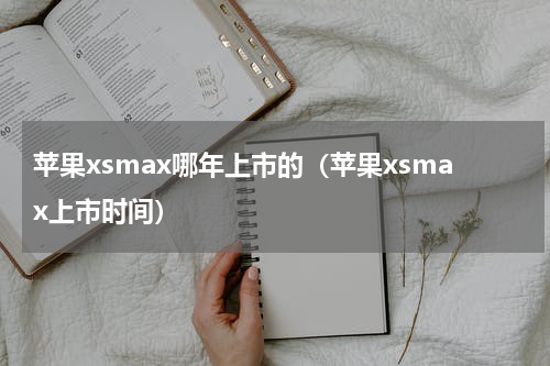 苹果xsmax哪年上市的（苹果xsmax上市时间）
