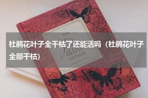 杜鹃花叶子全干枯了还能活吗（杜鹃花叶子全部干枯）