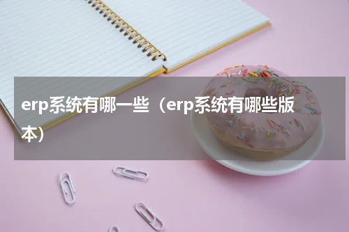 erp系统有哪一些（erp系统有哪些版本）