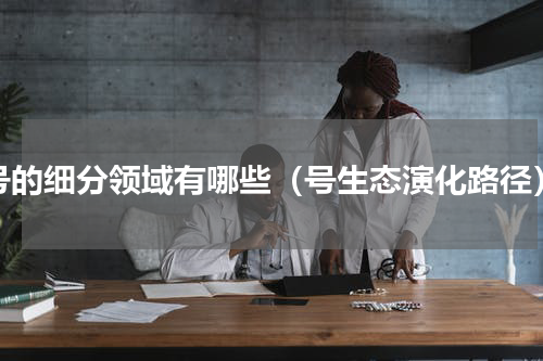 号的细分领域有哪些（号生态演化路径）