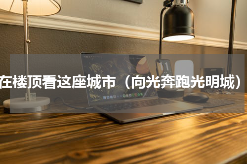 在楼顶看这座城市（向光奔跑光明城）