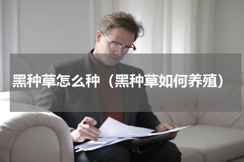 黑种草怎么种（黑种草如何养殖）