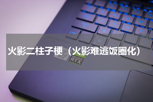 火影二柱子梗（火影难逃饭圈化）
