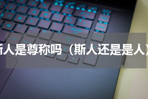 斯人是尊称吗（斯人还是是人）