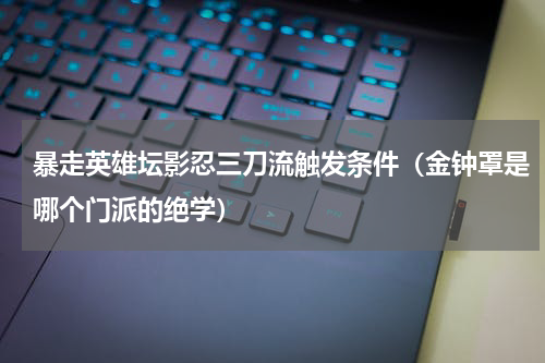 暴走英雄坛影忍三刀流触发条件（金钟罩是哪个门派的绝学）