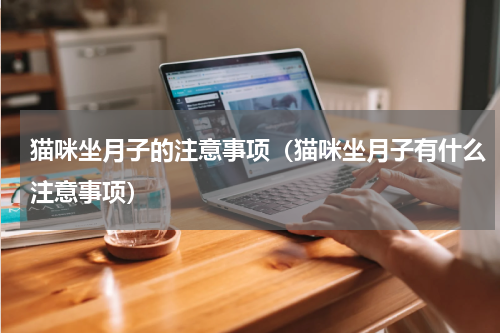 猫咪坐月子的注意事项（猫咪坐月子有什么注意事项）
