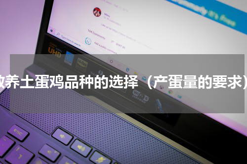散养土蛋鸡品种的选择（产蛋量的要求）