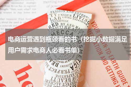 电商运营遇到瓶颈看的书（挖掘小数据满足用户需求电商人必看书单）