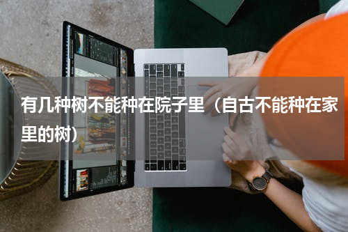 有几种树不能种在院子里（自古不能种在家里的树）