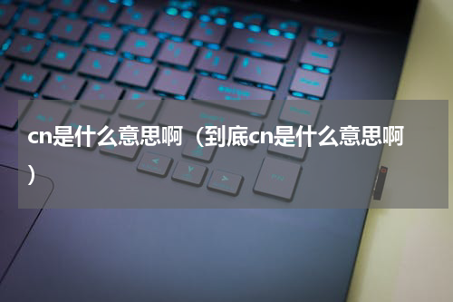 cn是什么意思啊（到底cn是什么意思啊）