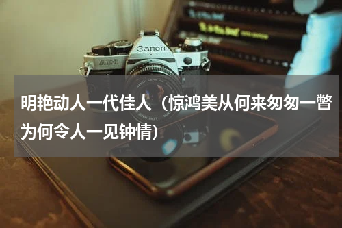 明艳动人一代佳人（惊鸿美从何来匆匆一瞥为何令人一见钟情）