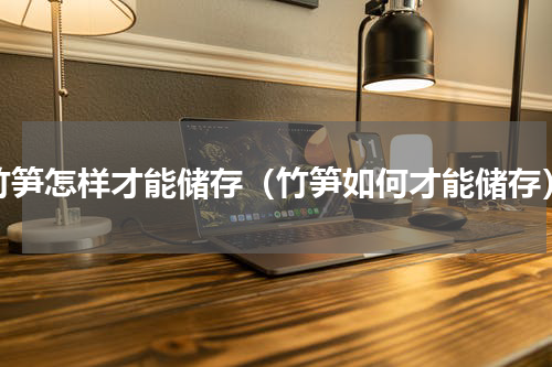 竹笋怎样才能储存（竹笋如何才能储存）