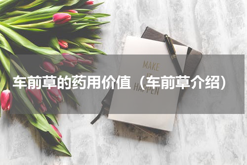 车前草的药用价值（车前草介绍）