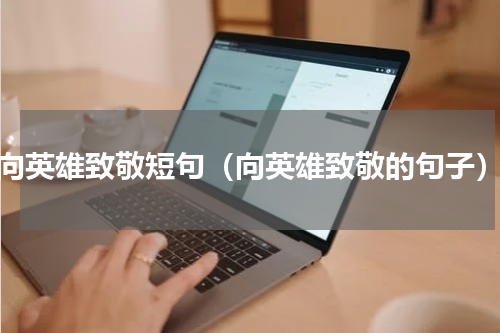 向英雄致敬短句（向英雄致敬的句子）