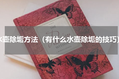 水壶除垢方法（有什么水壶除垢的技巧）