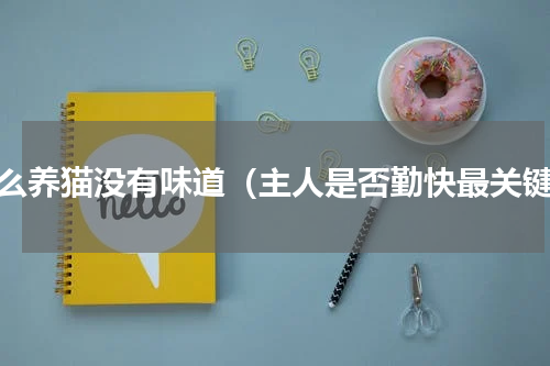 怎么养猫没有味道（主人是否勤快最关键）