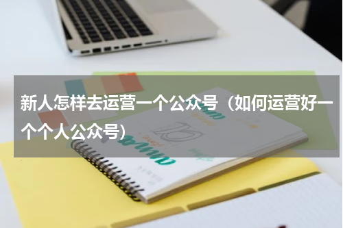 新人怎样去运营一个公众号（如何运营好一个个人公众号）