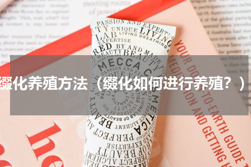 缀化养殖方法（缀化如何进行养殖？）