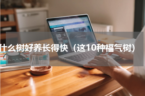 什么树好养长得快（这10种福气树）