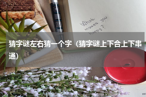 猜字谜左右猜一个字（猜字谜上下合上下串通）