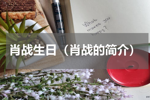 肖战生日（肖战的简介）
