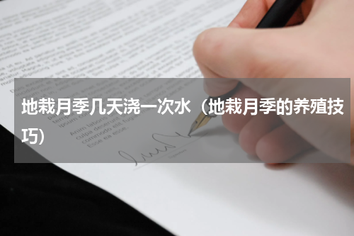 地栽月季几天浇一次水（地栽月季的养殖技巧）
