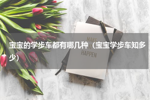 宝宝的学步车都有哪几种（宝宝学步车知多少）