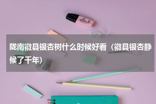 陇南徽县银杏树什么时候好看（徽县银杏静候了千年）