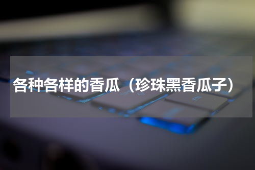 各种各样的香瓜（珍珠黑香瓜子）