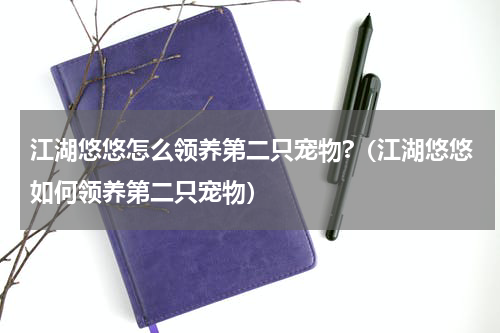 江湖悠悠怎么领养第二只宠物?（江湖悠悠如何领养第二只宠物）