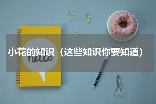 小花的知识（这些知识你要知道）