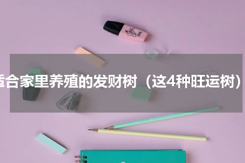 适合家里养殖的发财树（这4种旺运树）